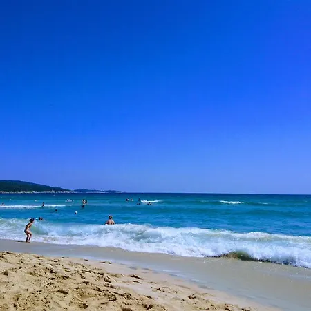 公寓 Laguna Penthouse 普里莫尔斯科